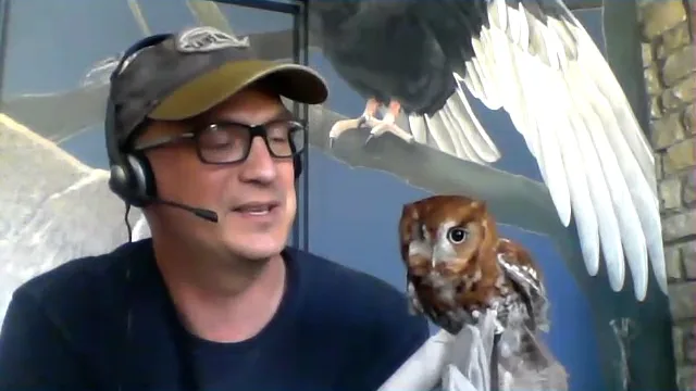 Todd Volkmann with Odin the screech owl